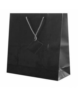 Plastified Gift Bag Plastified Gift Bag