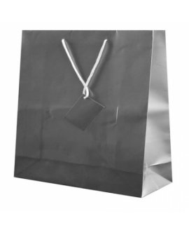 Plastified Gift Bag Plastified Gift Bag