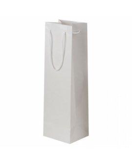 Plastified Gift Bag Plastified Gift Bag