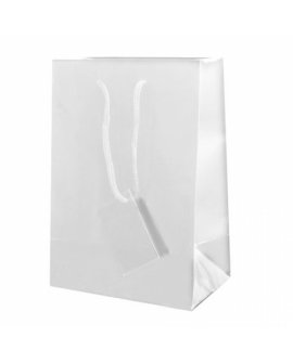 Plastified Gift Bag
