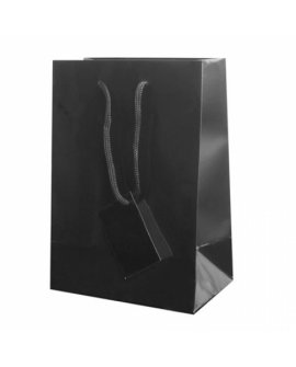 Plastified Gift Bag