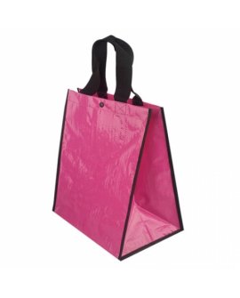 Shining Bag Shining Bag