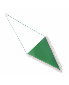 Big Triangular Pennant Big Triangular Pennant