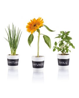 3 pcs herb garden 3 pcs herb garden
