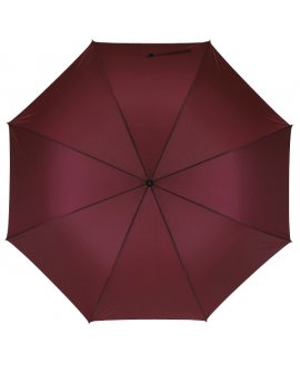 Automātisks lietussargs